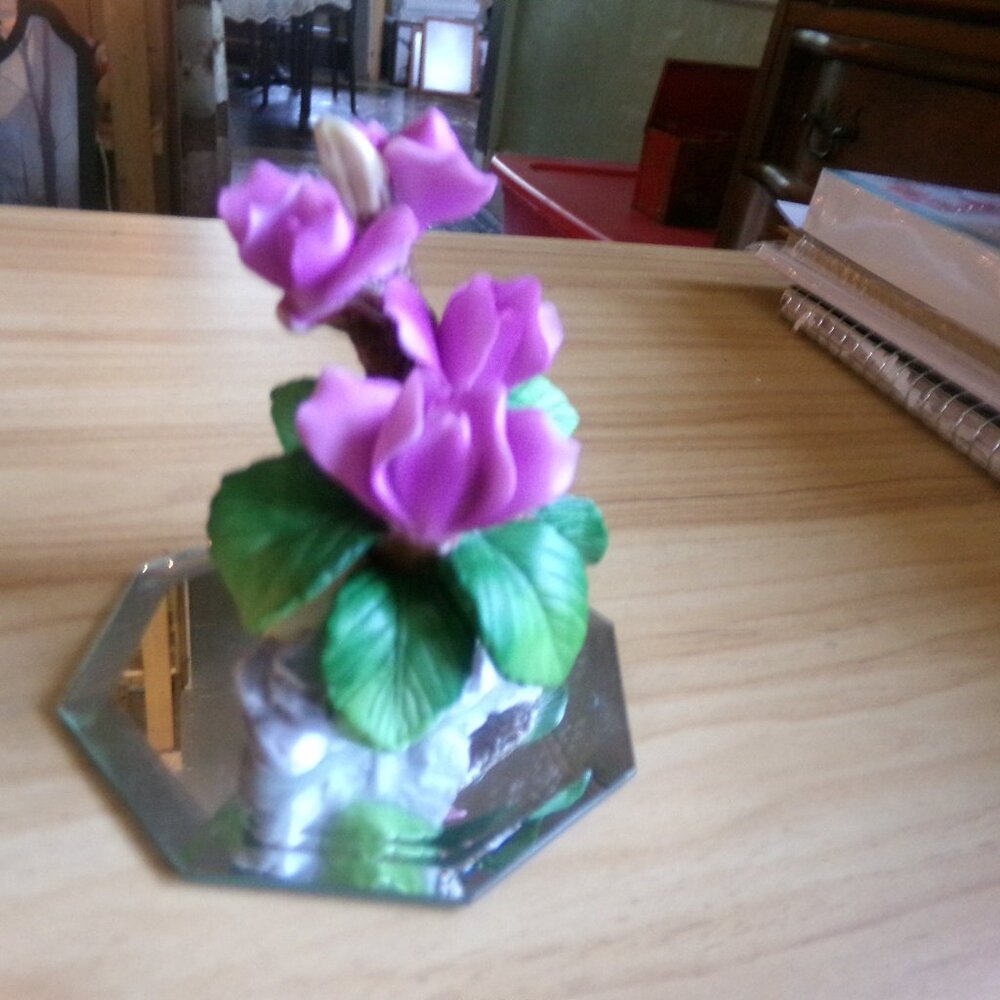 reflections in bloom by Cosmo.1999